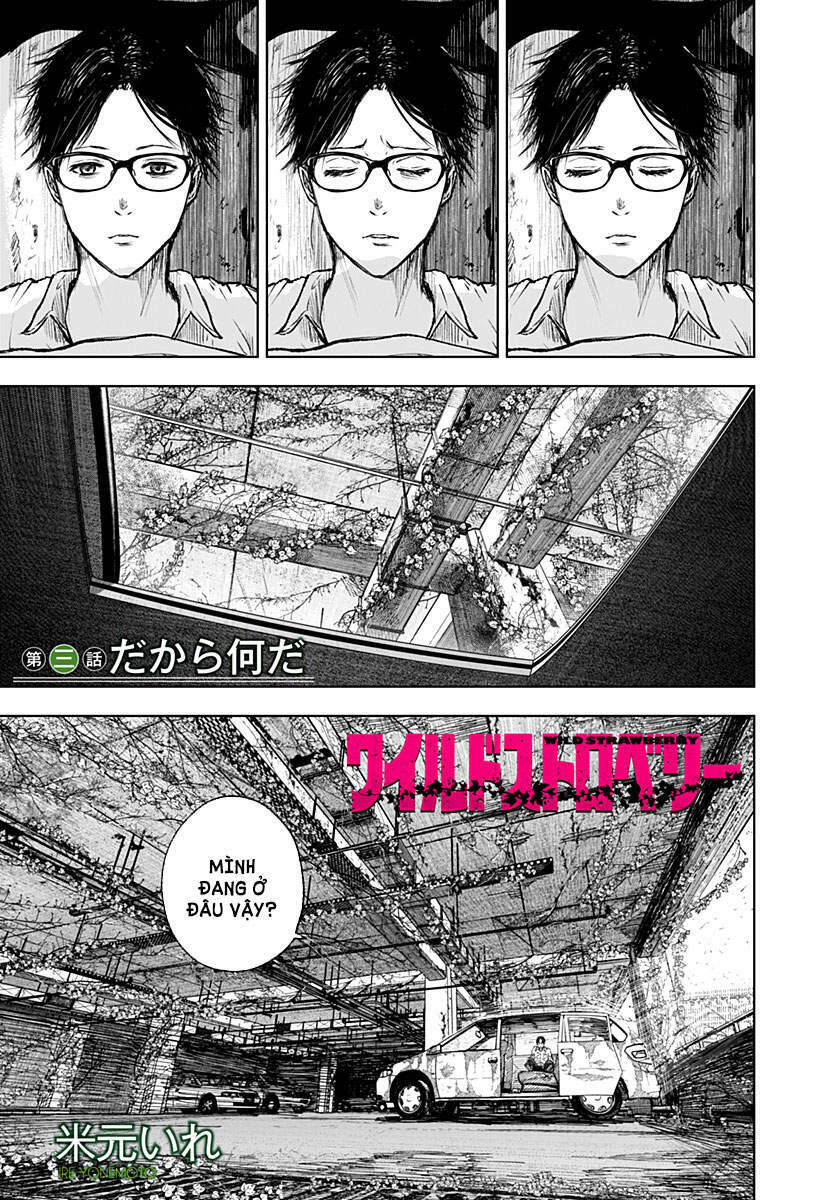 Wild Strawberry Chapter 3 - Trang 0
