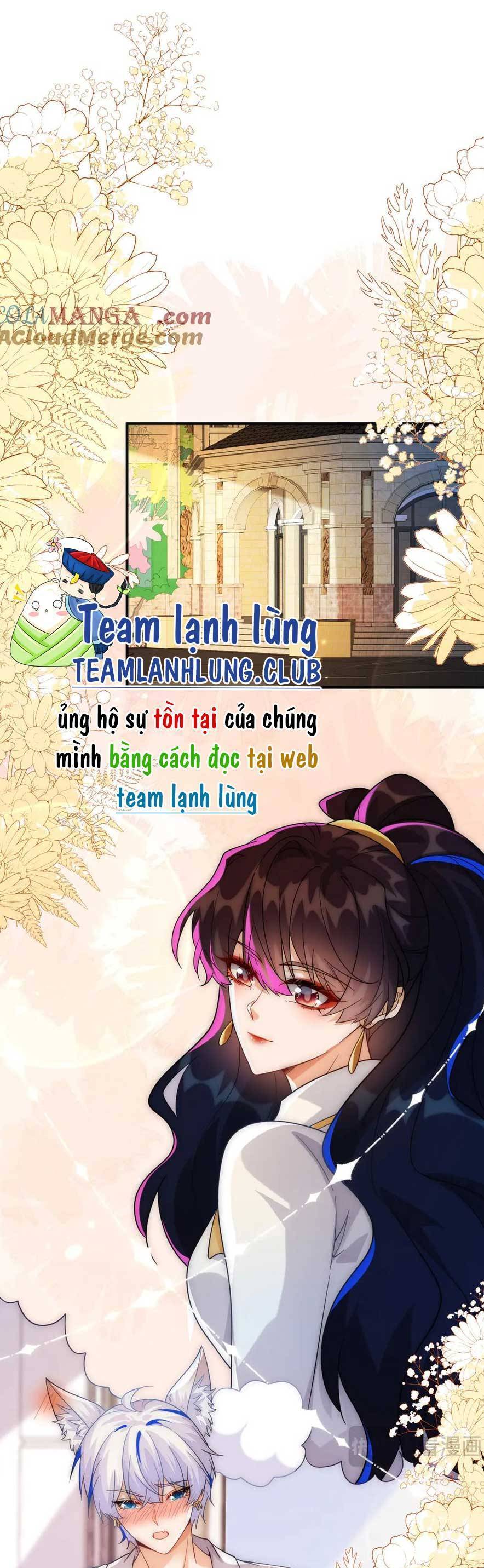 Vừa Mới Huỷ Hôn Đã Bị Dã Hồ Ly Lừa Kết Hôn Chapter 49 - Trang 0