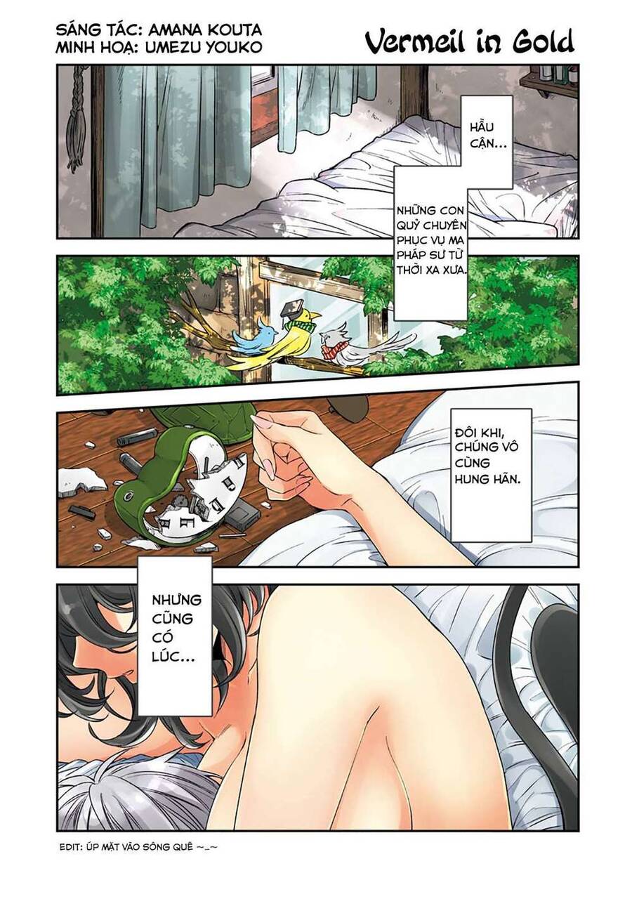 Vermeil In Gold Chapter 1.1 - Trang 0