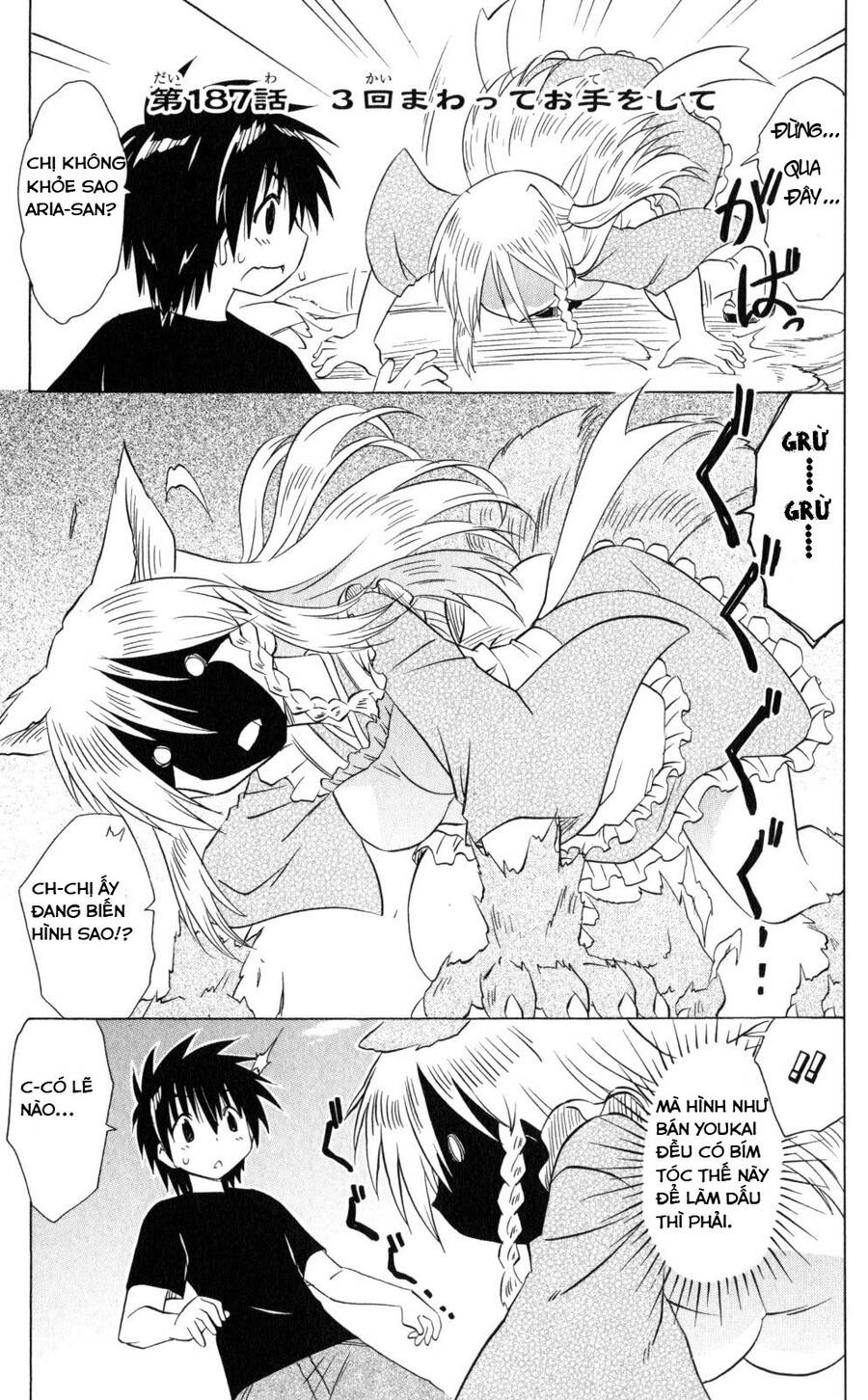 Nagasarete Airantou Chapter 187 - Trang 0