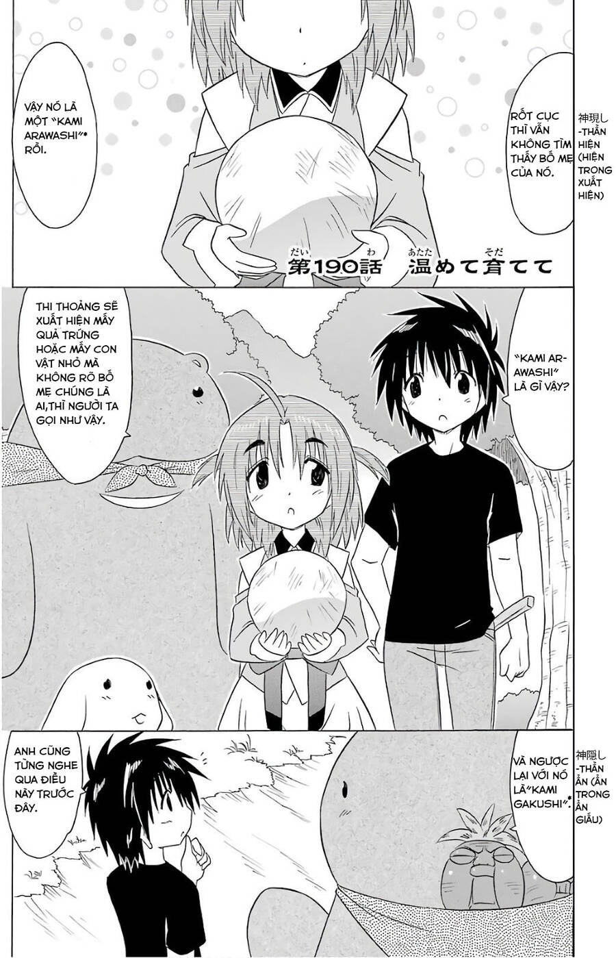 Nagasarete Airantou Chapter 190 - Trang 0