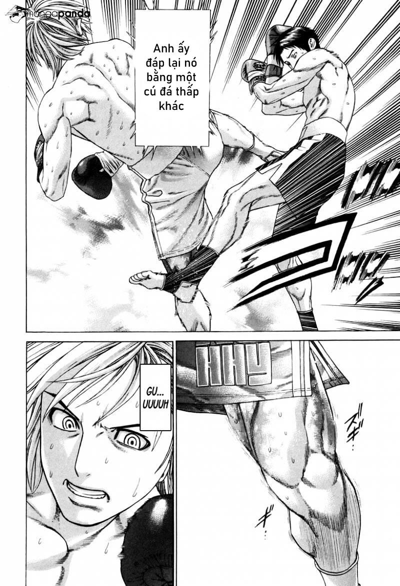Karate Shoukoushi Kohinata Minoru Chapter 322 - Trang 1