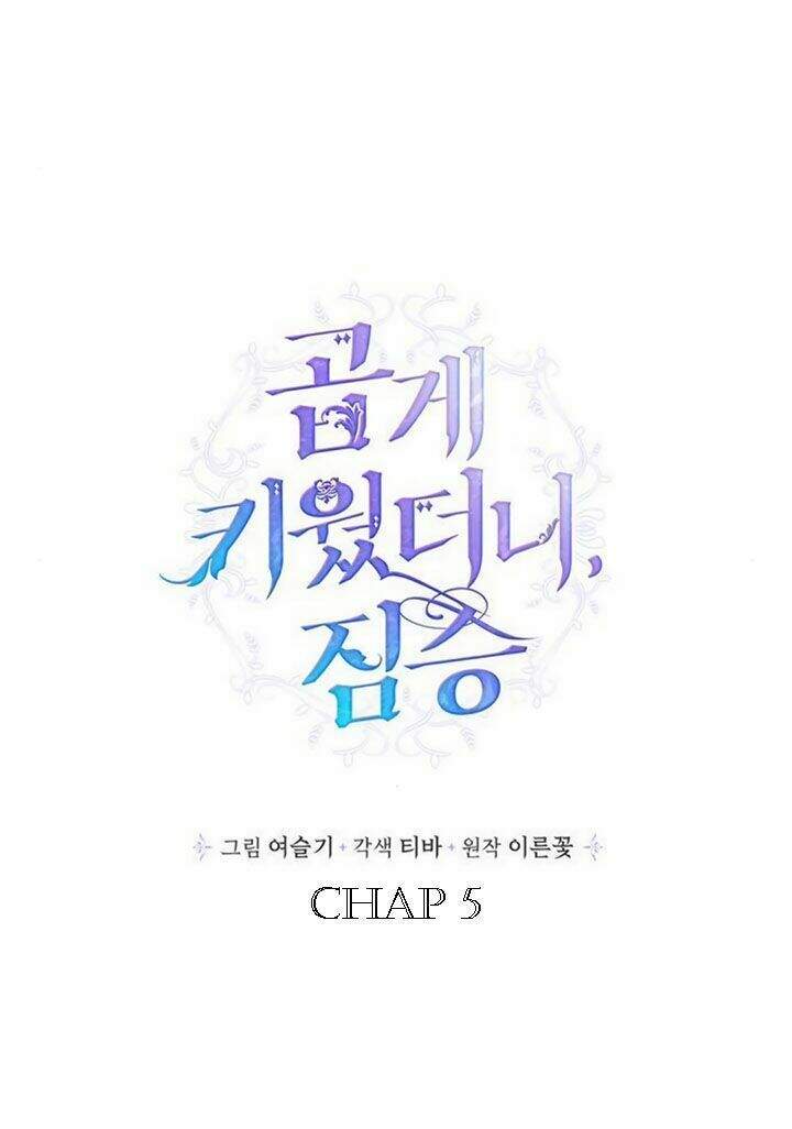 Thuần Hóa Quái Thú Thật Tốt Chapter 5 - Trang 1