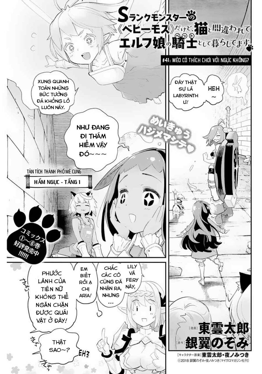 I Am Behemoth Of The S Rank Monster But I Am Mistaken As A Cat And I Live As A Pet Of Elf Girl Chapter 41.1 - Trang 0