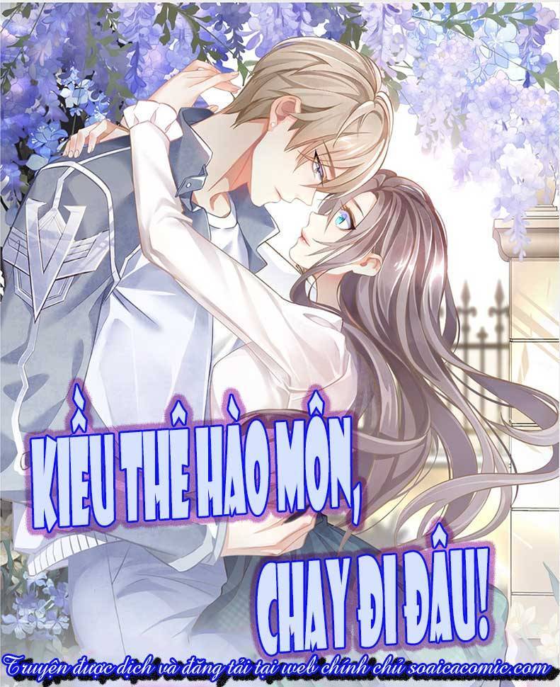 Kiều Thê Hào Môn Chạy Đi Đâu Chapter 8 - Trang 0