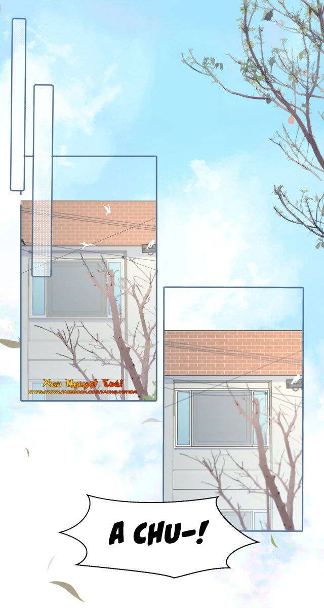 Mười Năm Sau, Tôi Kết Hôn Với Kẻ Không Đội Trời Chung Của Mình?! Chapter 27 - Trang 0
