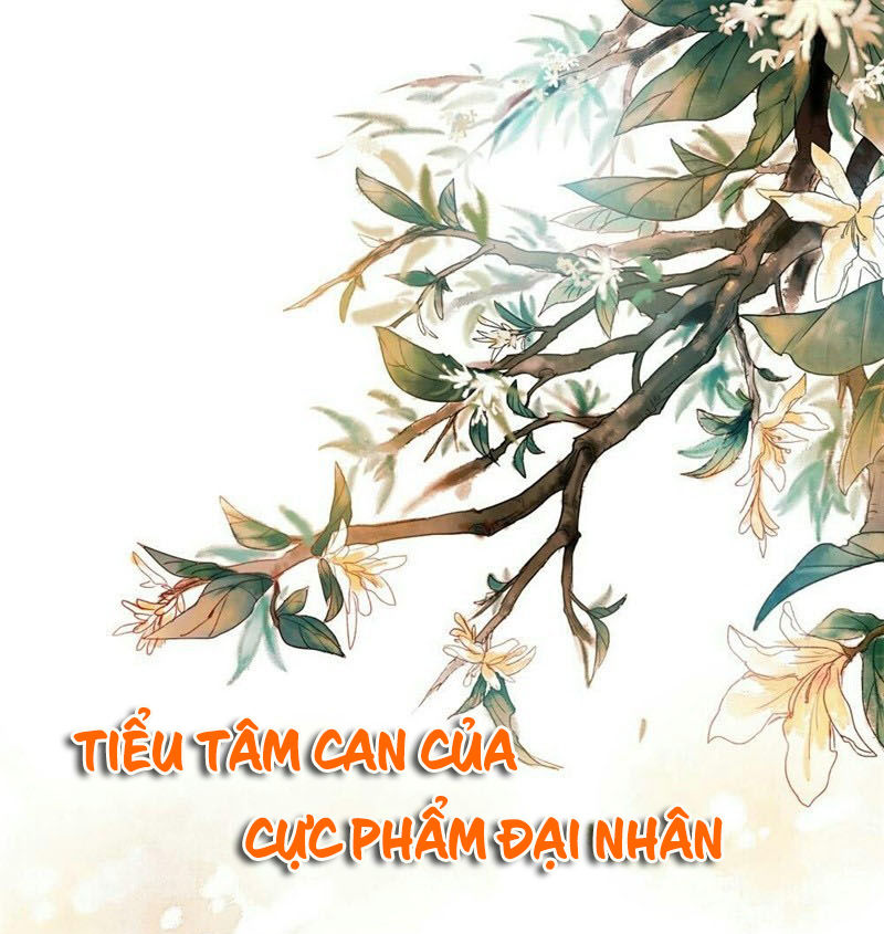 Tiểu Tâm Can Của Cực Phẩm Đại Nhân Chapter 13 - Trang 1