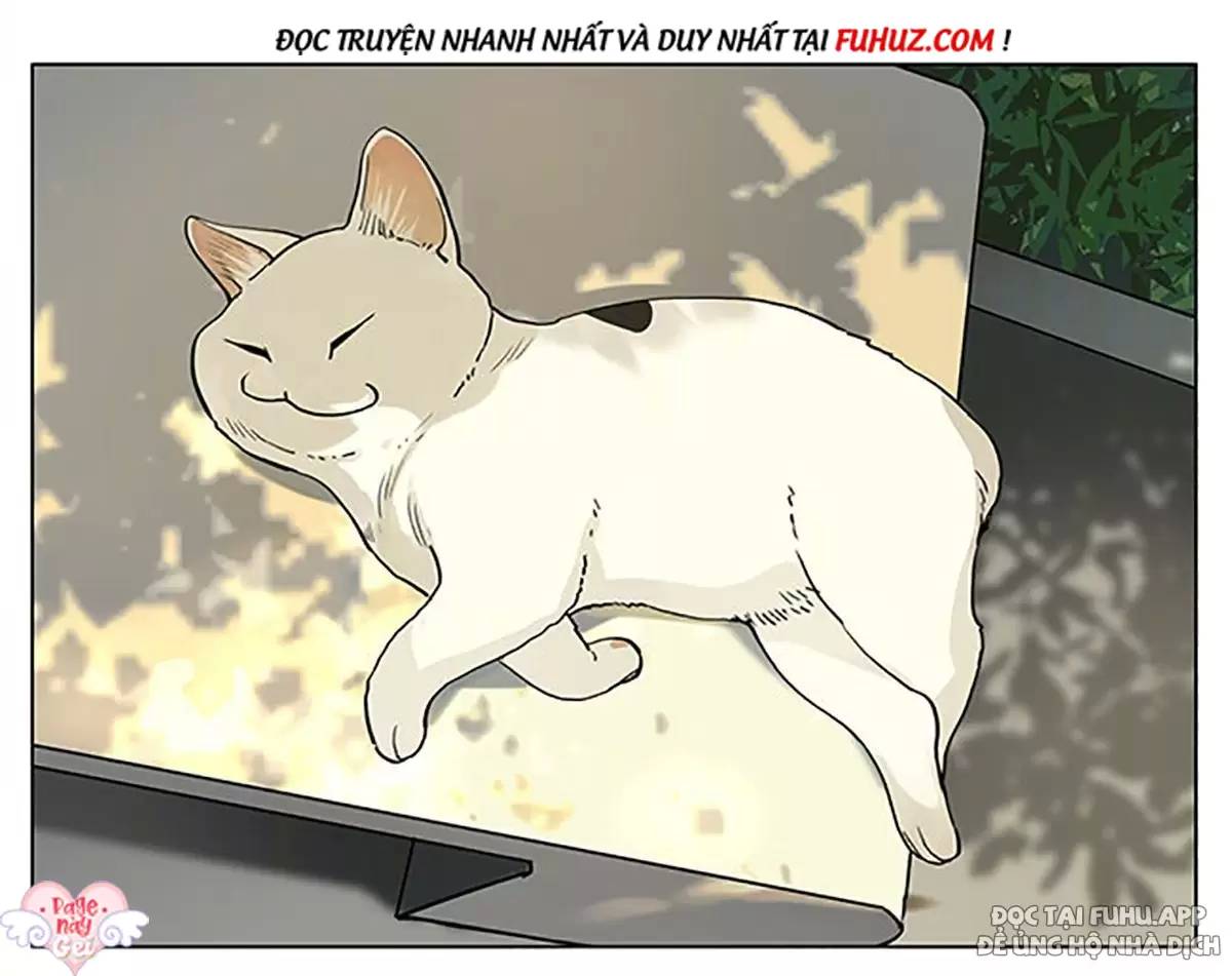 Chuyện Tình Tuổi Học Trò Chapter 188 - Trang 0