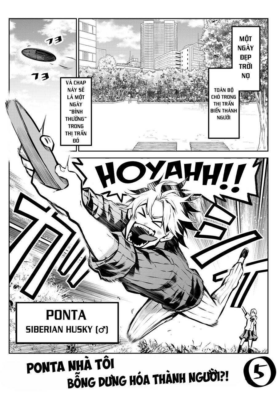 Ponta Nhà Tôi Bỗng Dưng Hóa Thành Người?! Chapter 5 - Trang 0
