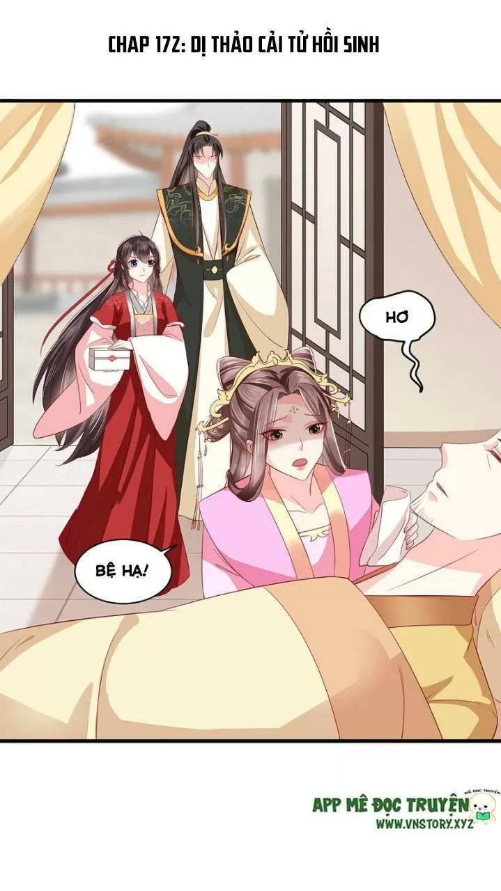 Độc Phi Ngu Ngốc Không Thể Chọc Chapter 172 - Trang 0