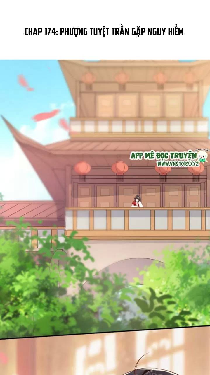 Độc Phi Ngu Ngốc Không Thể Chọc Chapter 174 - Trang 0