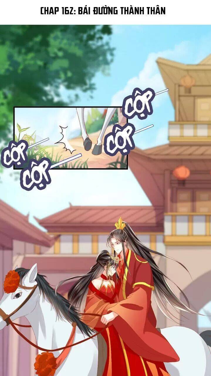 Độc Phi Ngu Ngốc Không Thể Chọc Chapter 162 - Trang 0