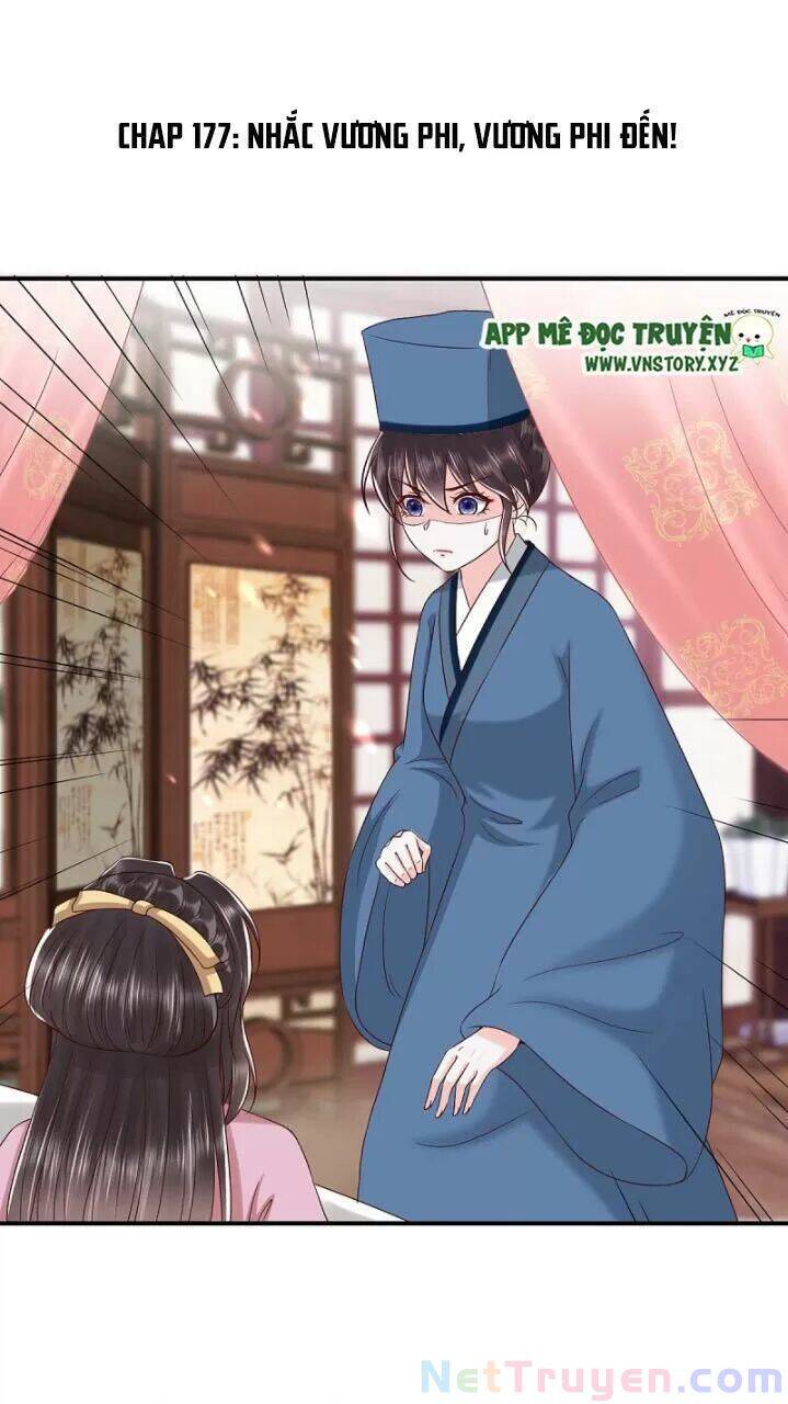 Độc Phi Ngu Ngốc Không Thể Chọc Chapter 177 - Trang 0