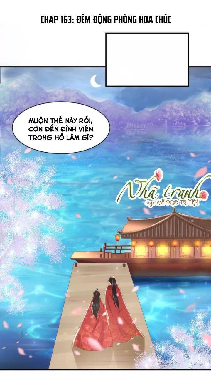 Độc Phi Ngu Ngốc Không Thể Chọc Chapter 163 - Trang 0