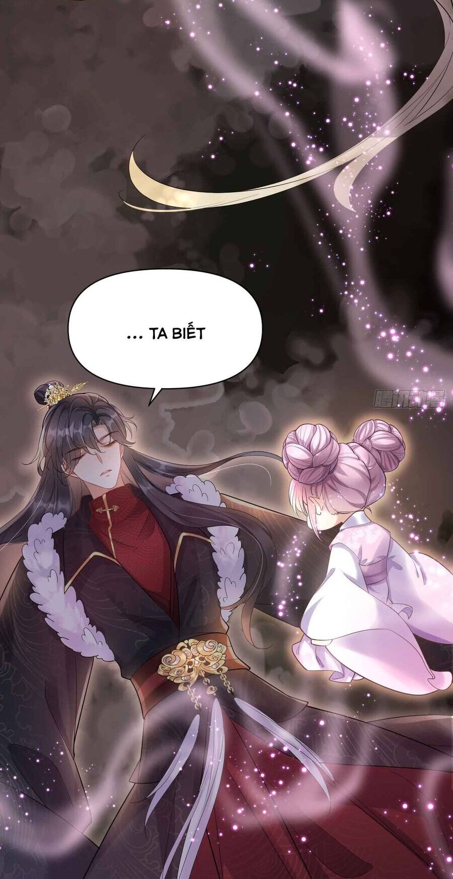 Vương Phi Hắc Hoá Siêu Khó Dỗ Chapter 1 - Trang 1