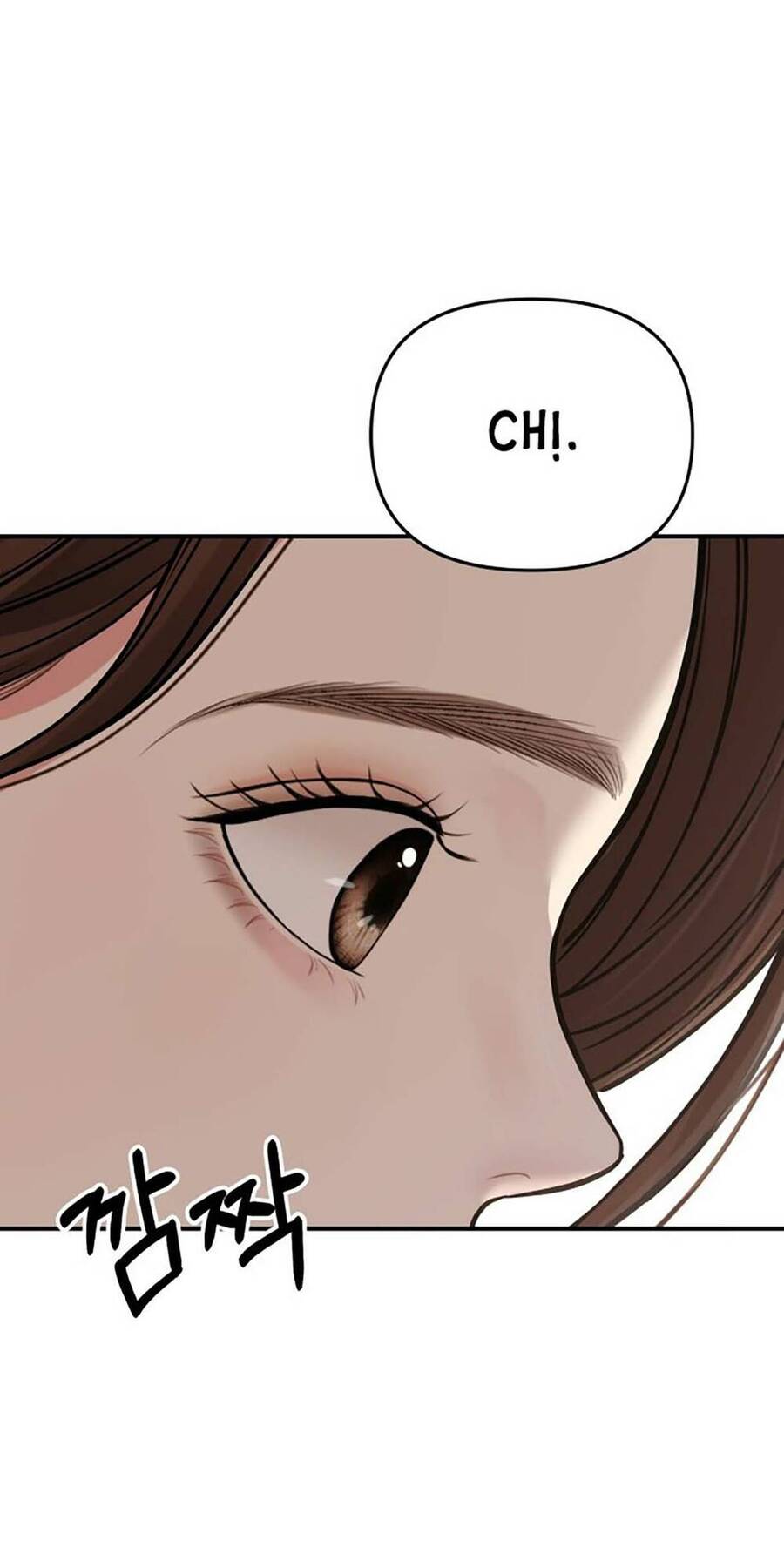 Gửi Em, Người Nuốt Trọn Vì Sao Chapter 113.1 - Trang 0
