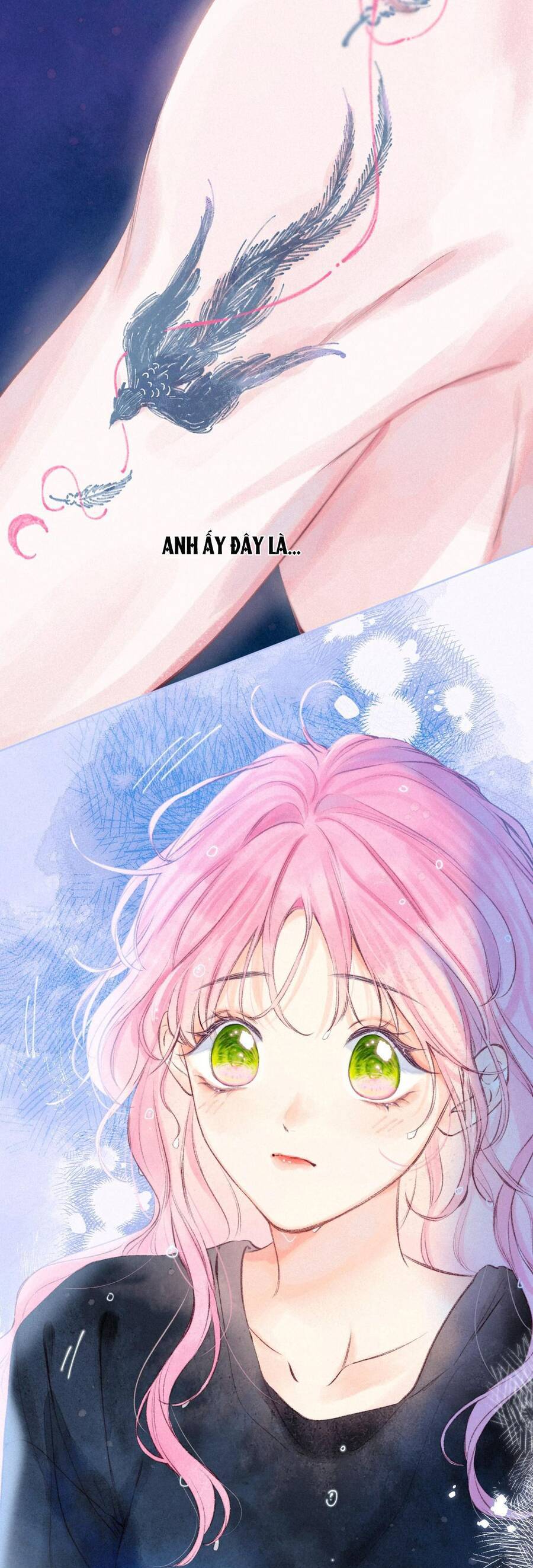 Bạn Gái Tôi Ấm Áp Tựa Như Xương Rồng Nở Hoa Chapter 8 - Trang 0