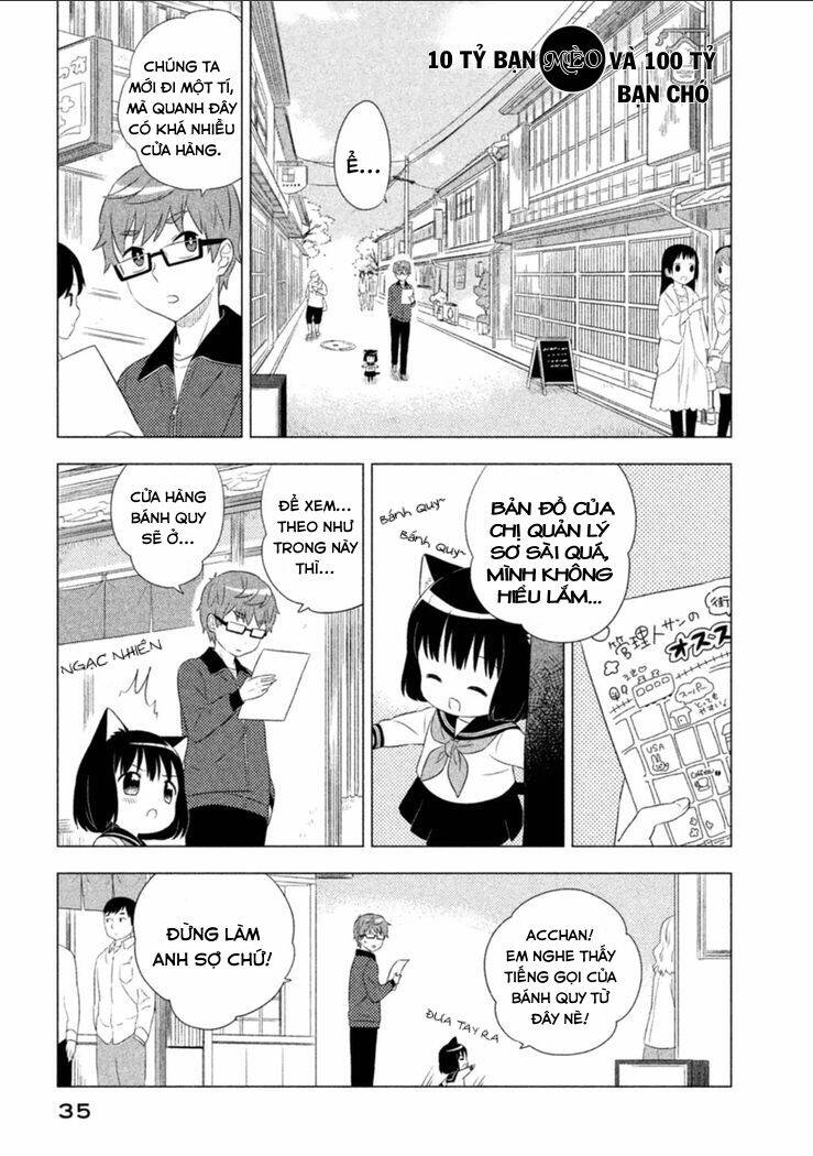 Tớ Là Mèo Kohana Chapter 3 - Trang 0