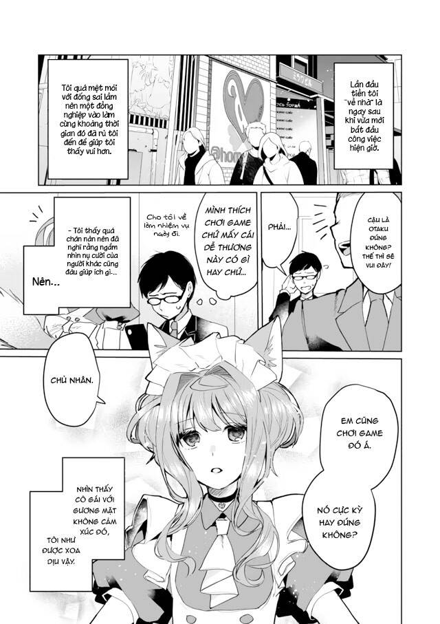 Catulus Syndrome Chapter 64 - Trang 0