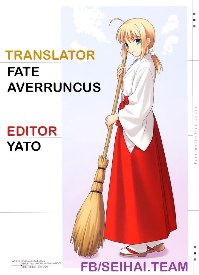 Fate/Strange Fake Chapter 22 - Trang 0