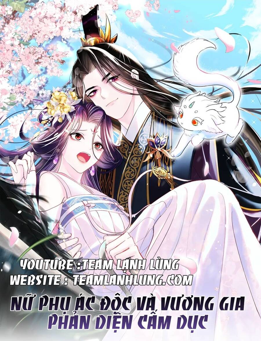 Nữ Phụ Ác Độc Và Vương Gia Phản Diện Cấm Dục Chapter 3 - Trang 0