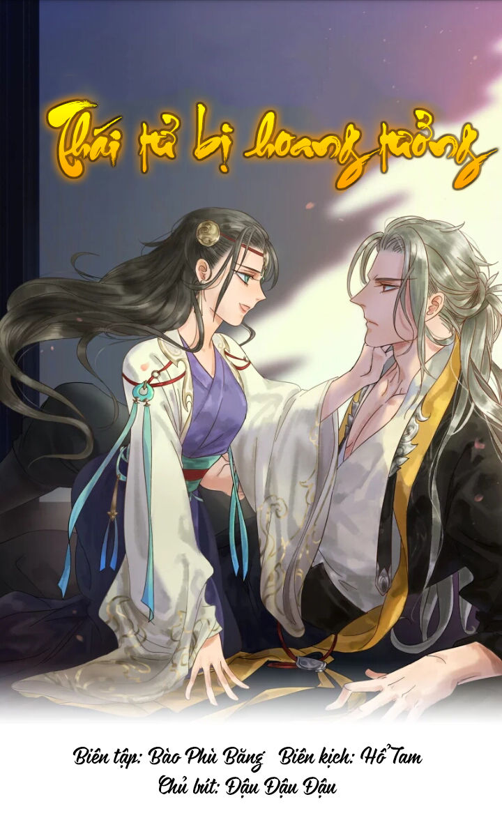 Thái Tử Bị Hoang Tưởng Chapter 9 - Trang 0