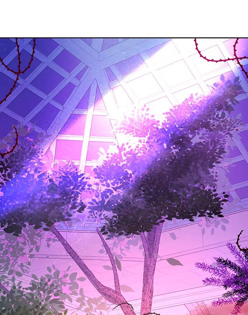 Cách Bảo Vệ Anh Trai Của Nữ Chính Chapter 5 - Trang 0