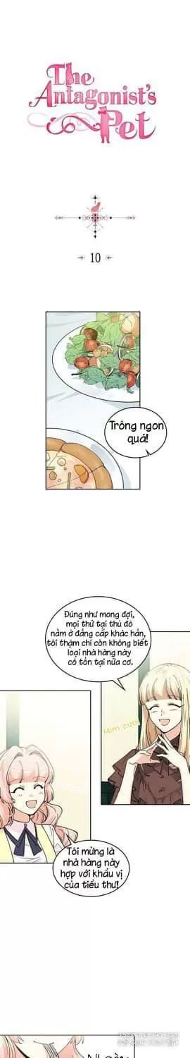 Thú Cưng Của Nữ Phụ Độc Ác Chapter 10 - Trang 0