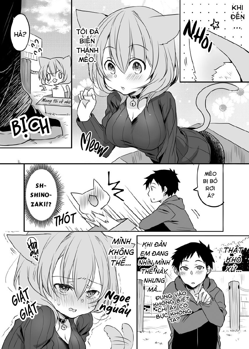 Uchi No Kaisha No Chiisai Senpai No Hanashi Chapter 31 - Trang 0