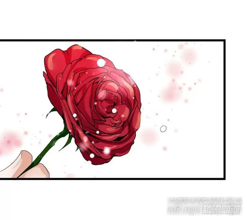 Chào Buổi Sáng, Ức Vạn Manh Thê Chapter 28 - Trang 0