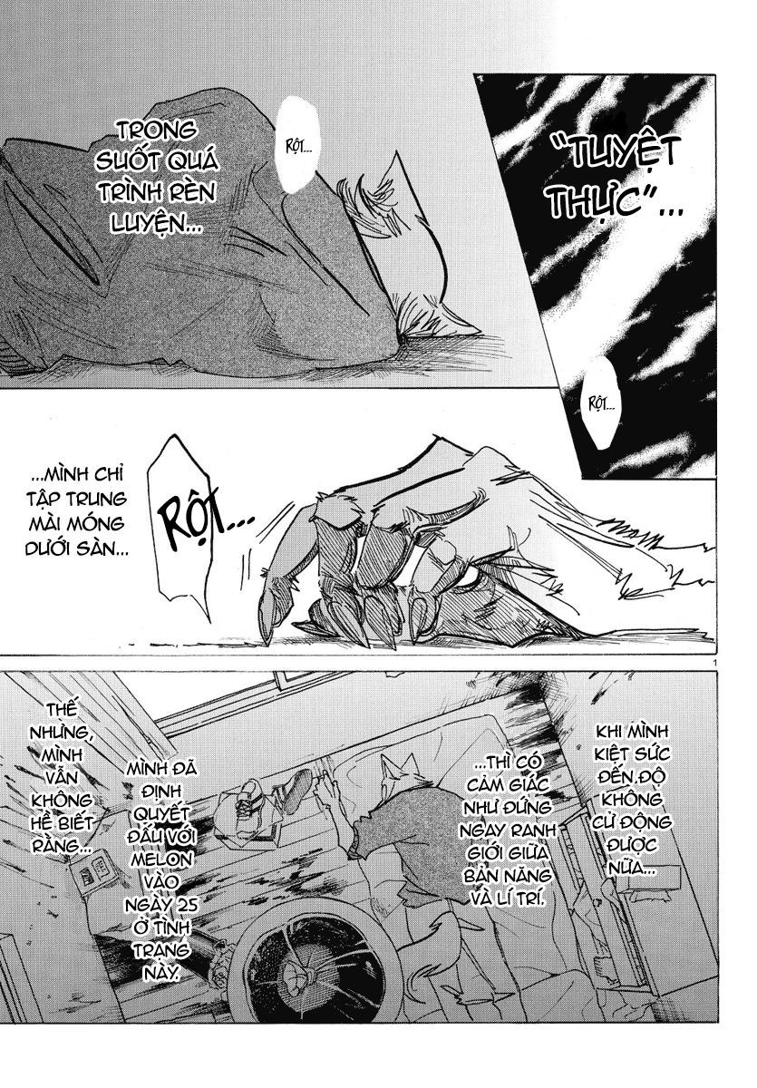 Bởi Vì Chúng Ta Đều Là Những Ngôi Sao Chapter 173 - Trang 0