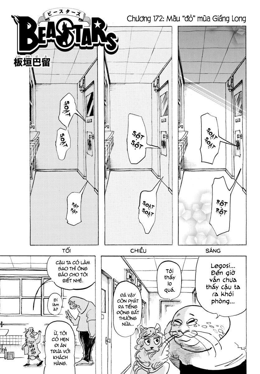 Bởi Vì Chúng Ta Đều Là Những Ngôi Sao Chapter 172 - Trang 0