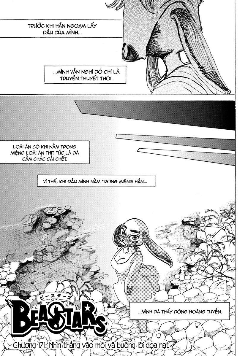 Bởi Vì Chúng Ta Đều Là Những Ngôi Sao Chapter 171 - Trang 0