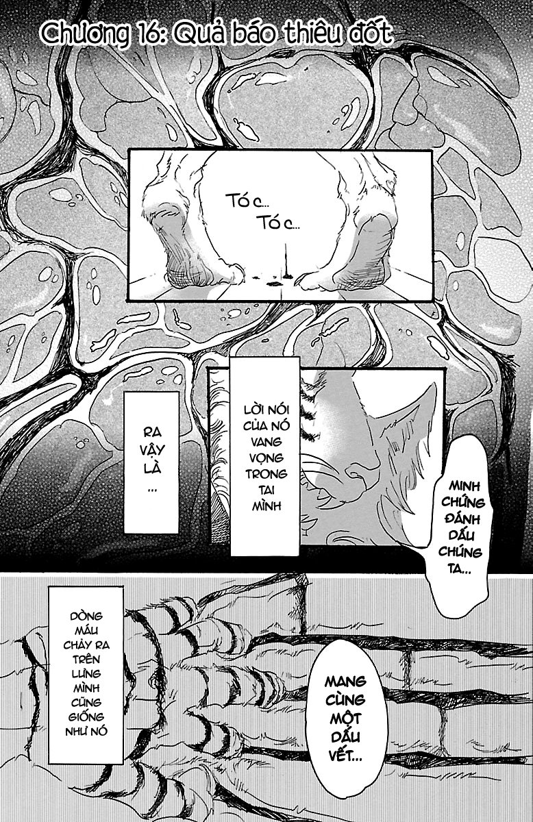Bởi Vì Chúng Ta Đều Là Những Ngôi Sao Chapter 16 - Trang 0