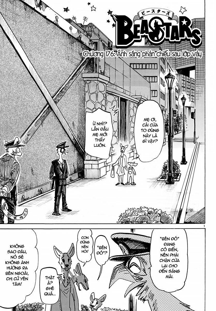 Bởi Vì Chúng Ta Đều Là Những Ngôi Sao Chapter 176 - Trang 0