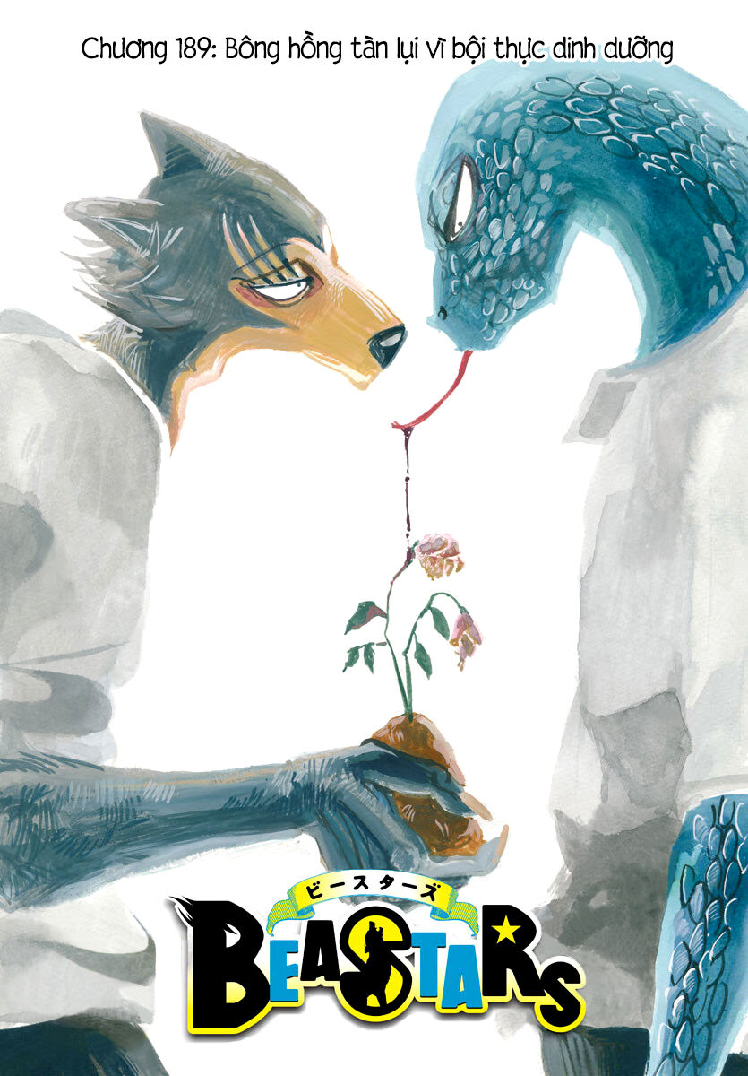Bởi Vì Chúng Ta Đều Là Những Ngôi Sao Chapter 189 - Trang 0
