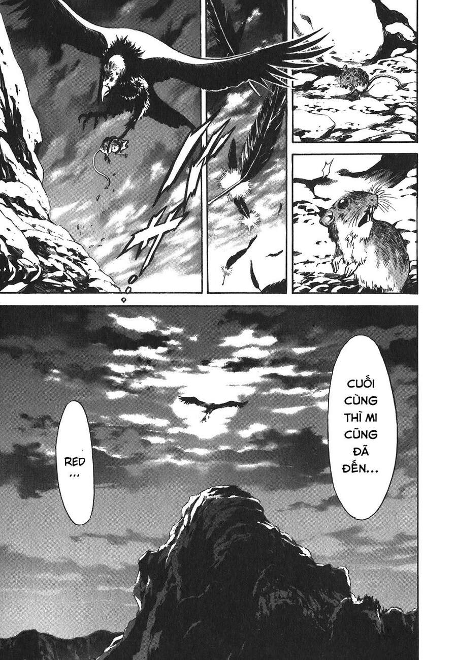 Red Living On The Edge Chapter 150 - Trang 0