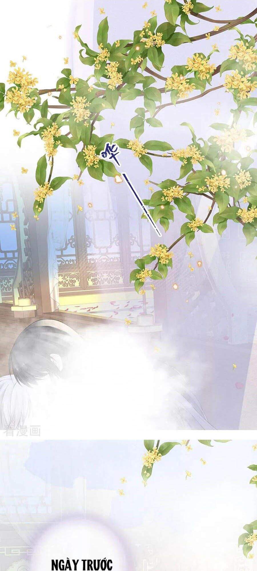 Thái Hậu Quân Hạ Thần Chapter 87 - Trang 0