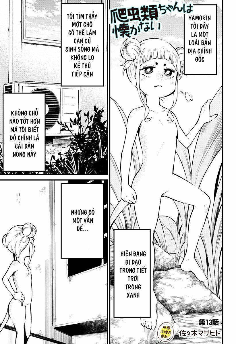Hachuurui-Chan Wa Natsukanai Chapter 13 - Trang 0