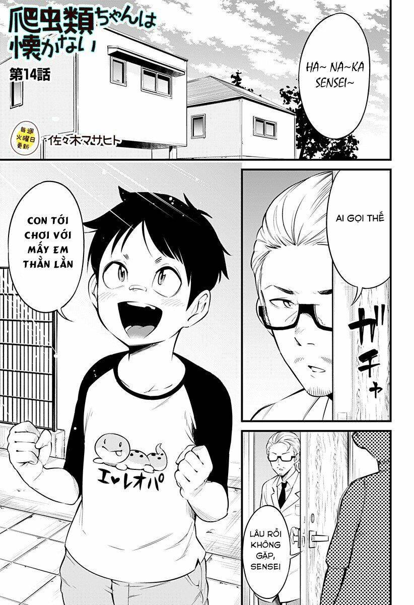 Hachuurui-Chan Wa Natsukanai Chapter 14 - Trang 0