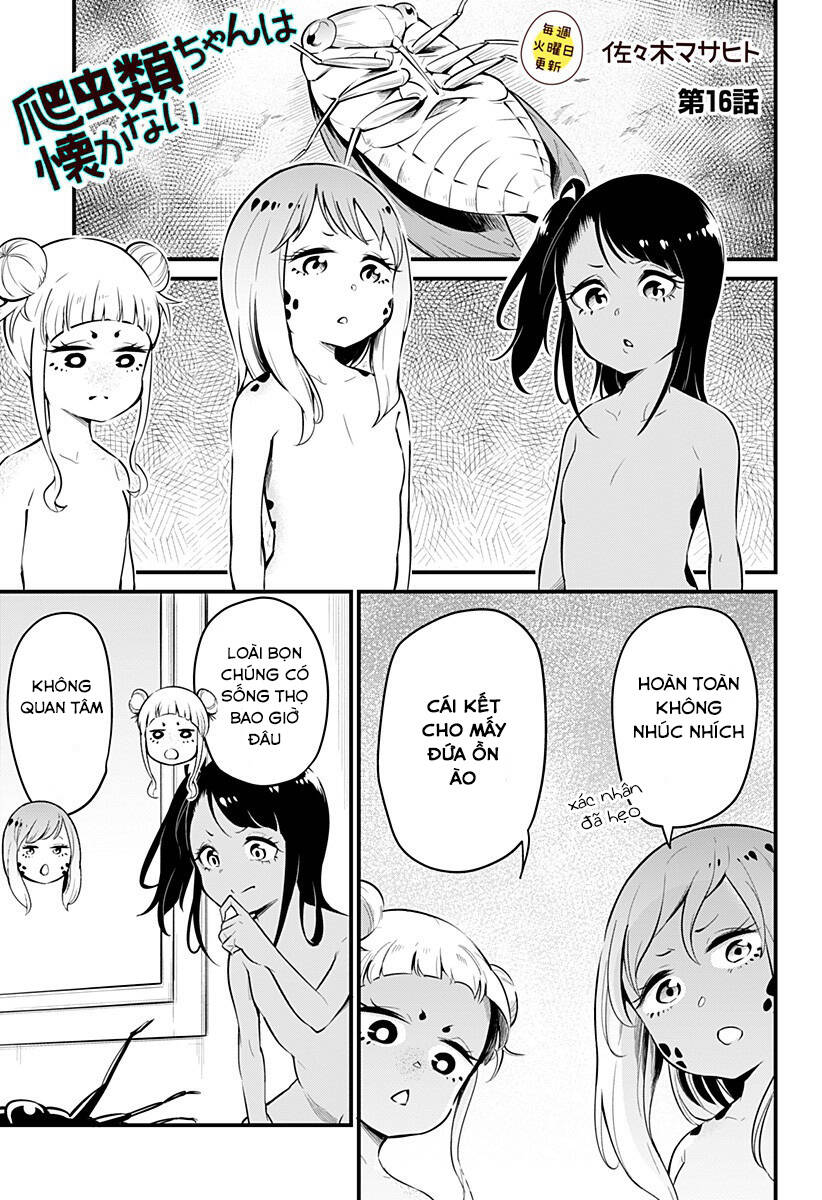 Hachuurui-Chan Wa Natsukanai Chapter 16 - Trang 0