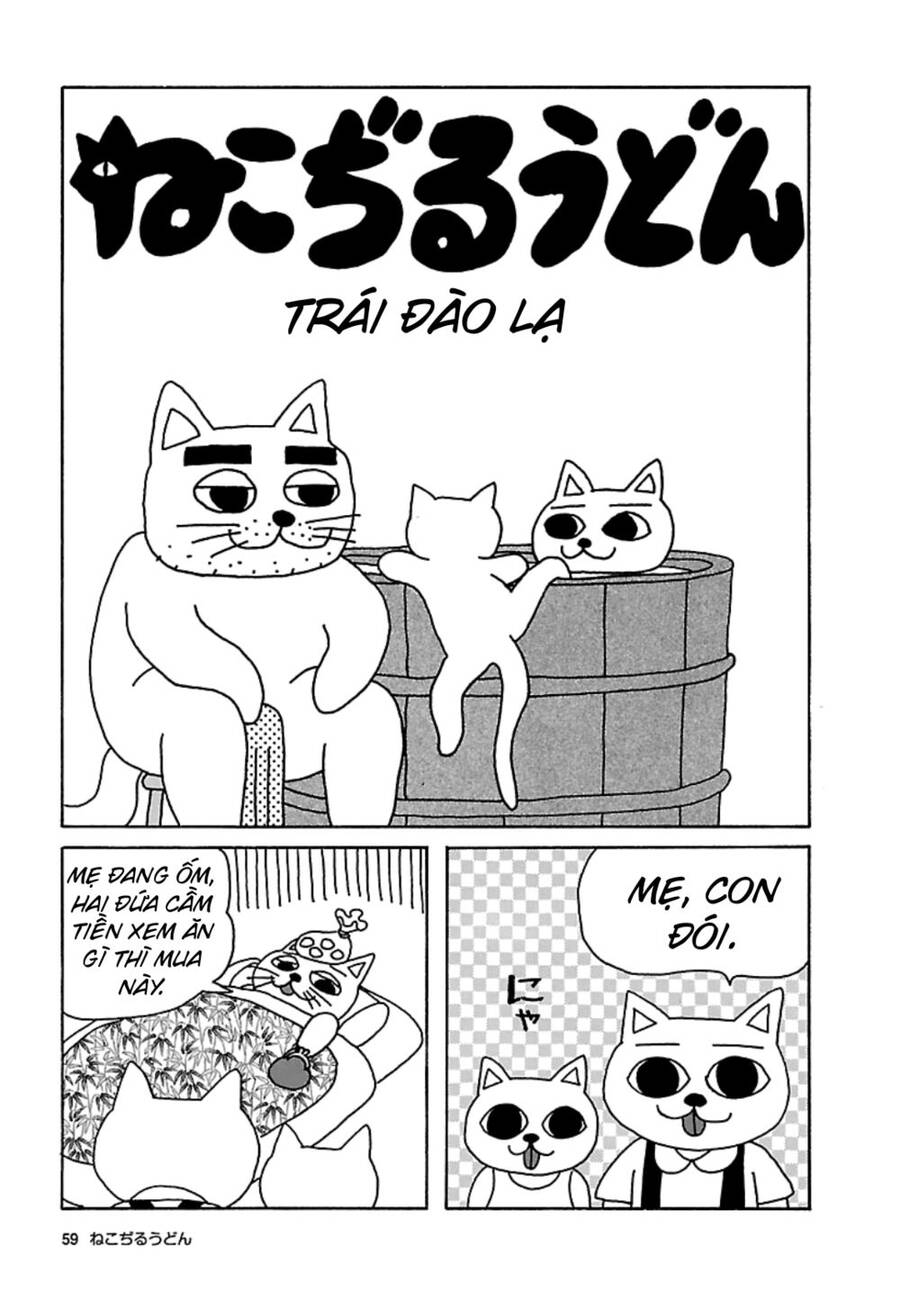 Nekojiru Udon Chapter 19 - Trang 0