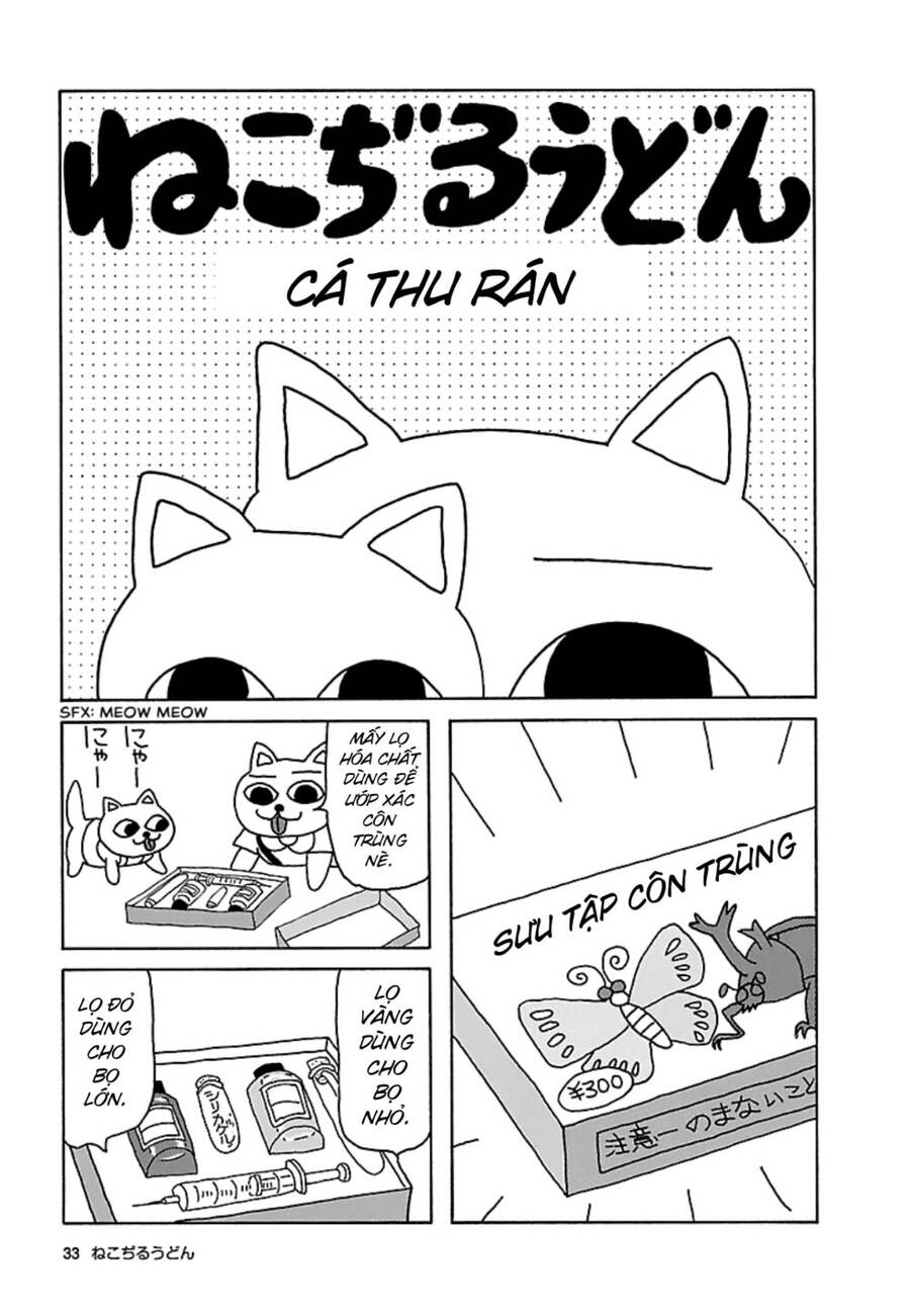 Nekojiru Udon Chapter 16 - Trang 0