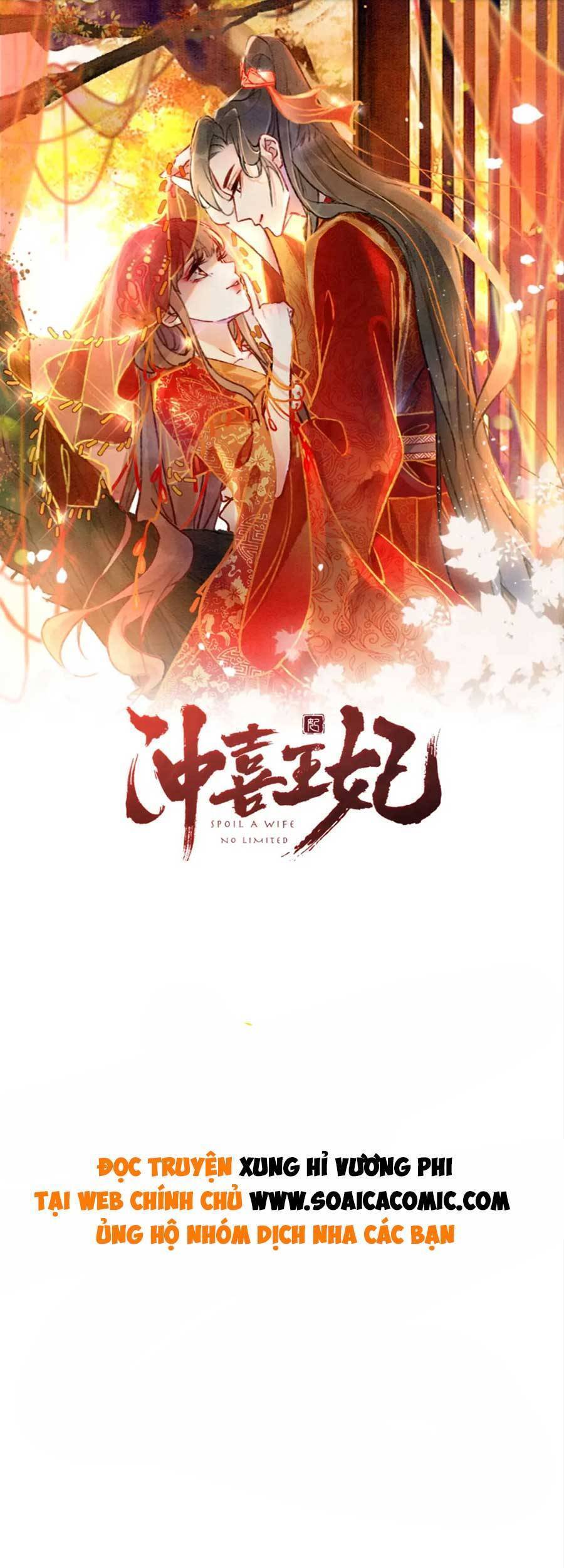 Xung Hỉ Vương Phi Chapter 96 - Trang 0