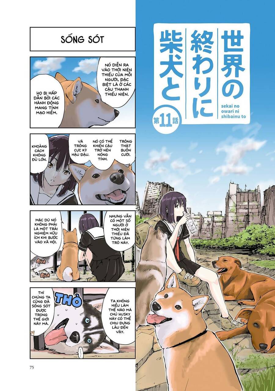 Lang Thang Miền Tận Thế Với Chú Chó Shiba Của Tôi Chapter 11 - Trang 0