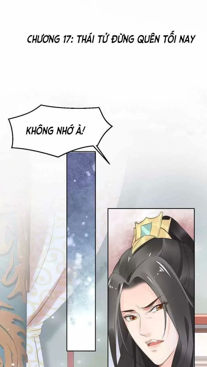 Nhất Sinh Nhất Thế Tiếu Thương Khung Chapter 17 - Trang 0
