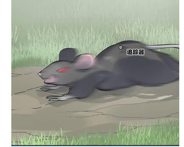 Chiếc Váy Của Người Cá Chapter 24 - Trang 0