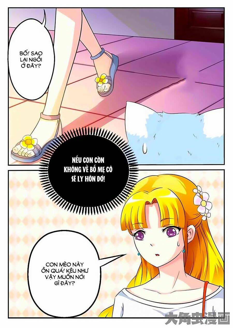 Mau Lấy Con Mèo Đó Ra Chapter 9 - Trang 0