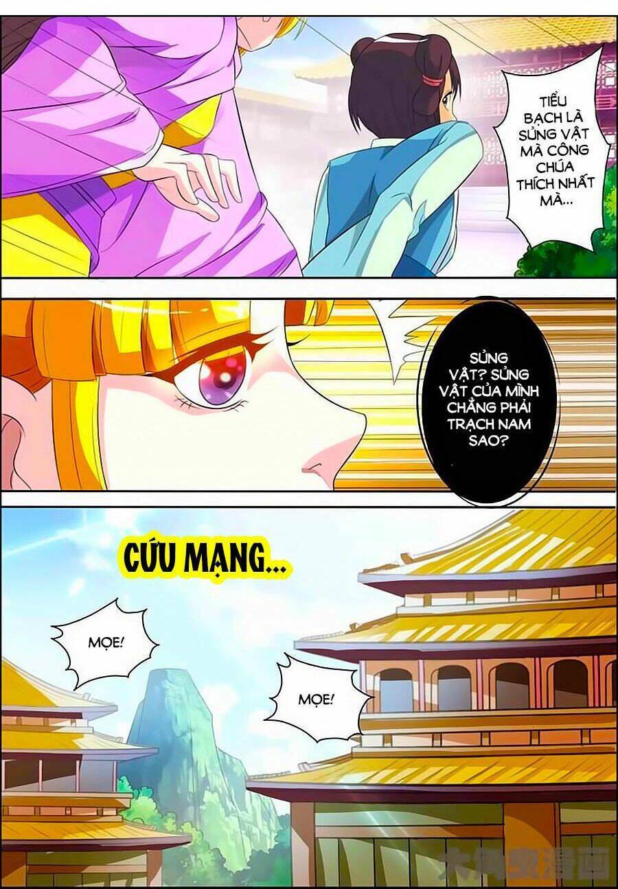 Mau Lấy Con Mèo Đó Ra Chapter 12 - Trang 0