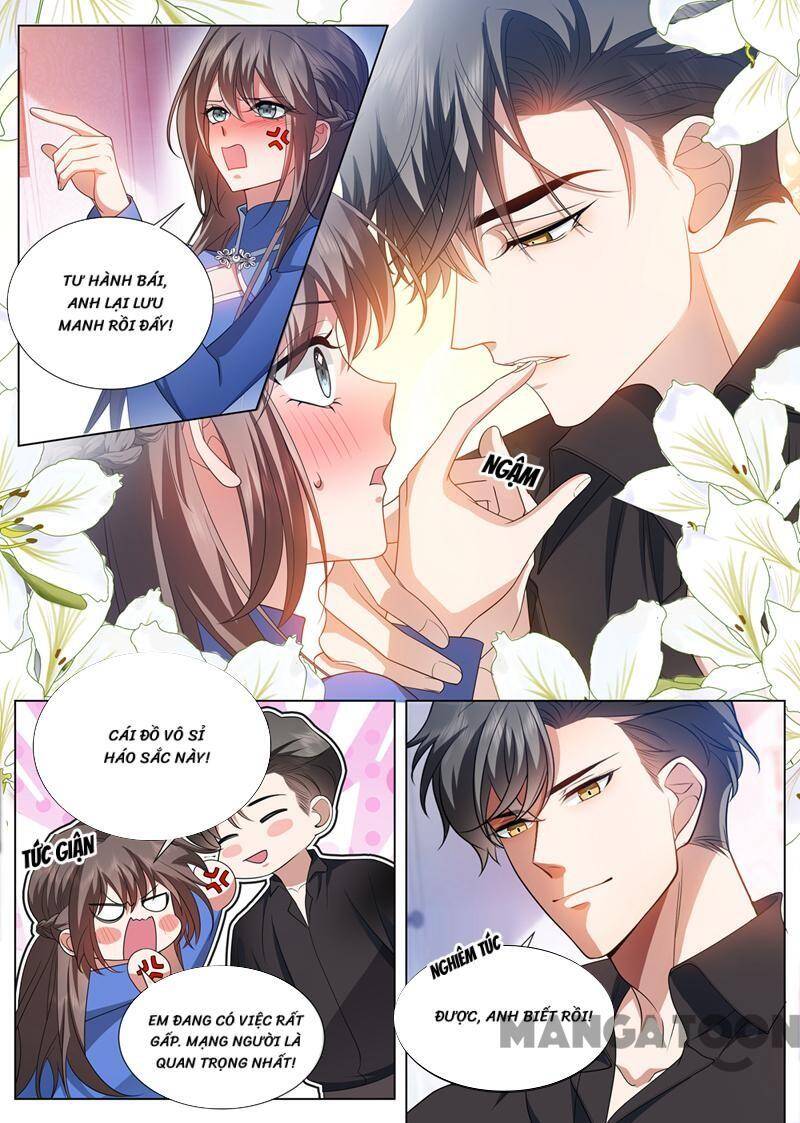 Thiếu Soái! Vợ Ngài Lại Bỏ Trốn Chapter 500 - Trang 0